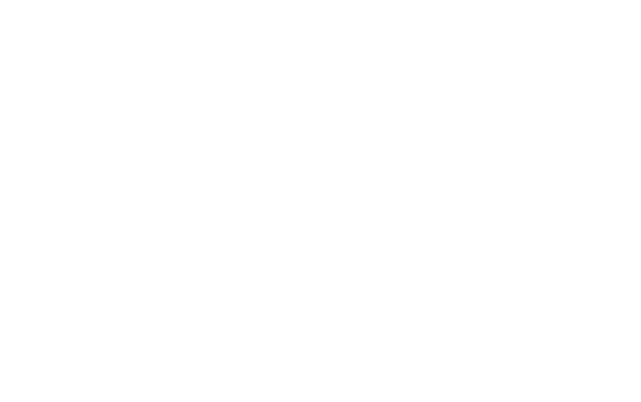 Behance Icon