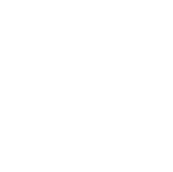 WhatsApp Icon